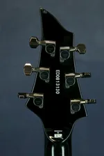 EDWARDS by ESP E-FR-145GT ED0813130