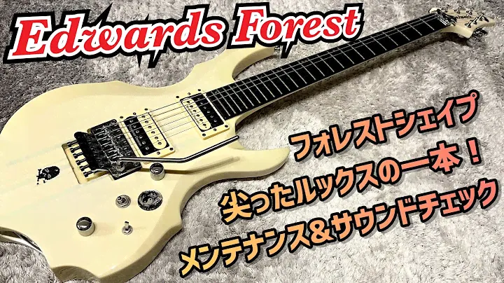 EDWARDS FOREST E-FR-130GT ヴィジュアル系に人気のルックス 内部確認とメンテナンス、サウンドチェック