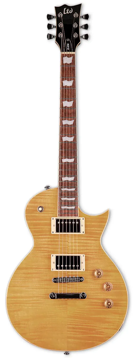 ESP LTD EC256VN - электрогитара