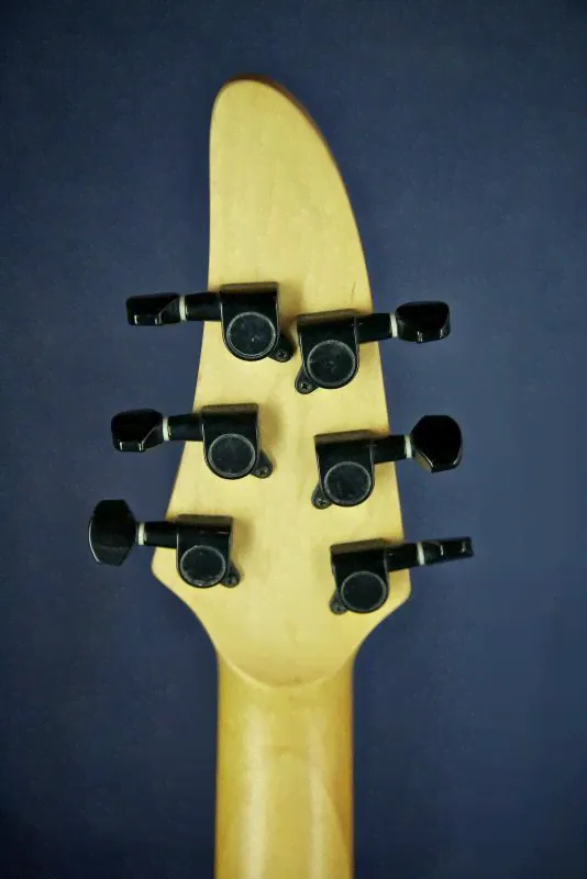 GRASS ROOTS by ESP Horizon Black-4