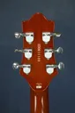EDWARDS by ESP Potbelly E-PO-96D