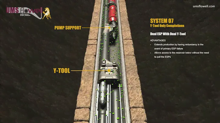 Dual ESP With Dual Y-Tool - System 07