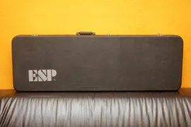 ESP Guitar Case