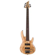 ESP LTD B-205SM-FL 5-String Bass G uitar