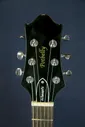 EDWARDS by ESP Potbelly E-PO-96D